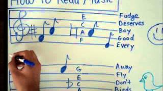 How to Read Music  Basics for Beginners  Music Theory Lesson [upl. by Rolan]