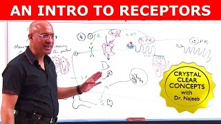 An Intro to Receptors  Types Structure amp Location  Part 1 [upl. by Mlohsihc]