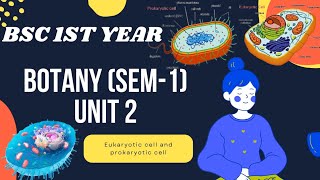 Bsc 1st year Botany Sem1 Unit 2 Microbial World eukaryotic and prokaryotic cell [upl. by Eenej]