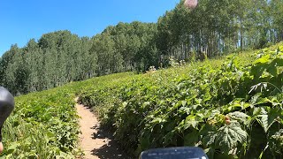 Steamboat Springs to Loveland Colorado Bike Gravel Ride  Day 1 [upl. by Aninat178]