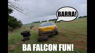 BA Falcon Paddock Basher [upl. by Ymorej619]