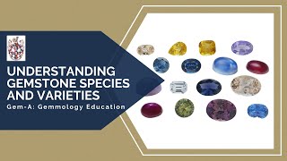 GemA Live Understanding Gemstone Species and Varieties [upl. by Epolulot684]