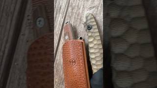 5 Incredible EDC Fixed Blades youtubeshorts shorts bushcraft [upl. by Leunamme]