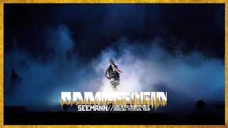 Rammstein  Seemann Live Audio Remastered  Moscow 2016 [upl. by Htieh]