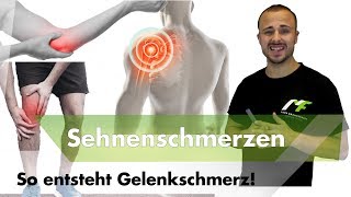 Sehnenschmerzen  Das solltest du über Schmerzen wissen [upl. by Glialentn759]