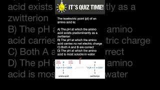 Isoelectric point of Amino Acids [upl. by Einahteb160]