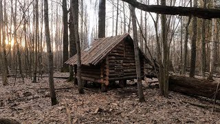 building a bushcraft log cabin alone in the forest [upl. by Landa]