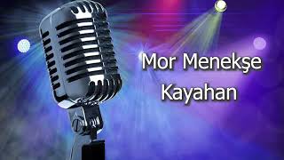 Mor Menekşe Karaoke  Kayahan [upl. by Sirrep998]