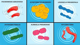 Infection prevention amp Hygiene Opportunistic bacterial pathogens [upl. by Labotsirc961]