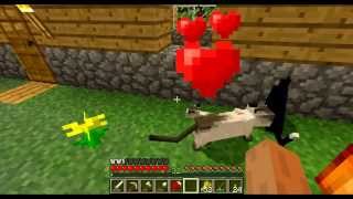 Lets Play Minecraft 040 Deutsch HD  Tierische Liebe [upl. by Rambert]