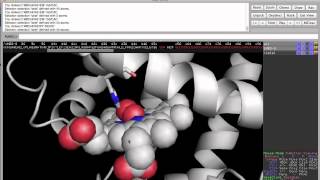 PyMol Lab Assignment [upl. by Eiramaliehs]