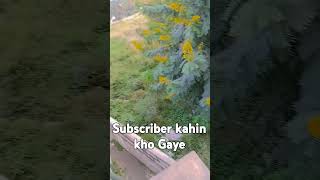 Hamari subscriber kahin kho Gaye 😱😱 OMG 😳hamare subscribe kahin gaye shorts short short [upl. by Erlond]