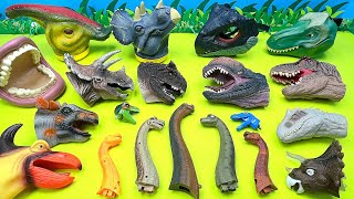 30 Dinosaur Heads With Jurassic World  Tyrannosaurus Rex Triceratops Pteranodon [upl. by Gil]