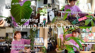 💐 spring houseplant prep episode 1 chopping my plants ✂️ [upl. by Annaid109]