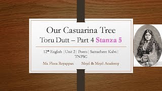 Our Casuarina Tree 12th English Stanza 5 Unit 2Samcheer Kalvi [upl. by Giule113]