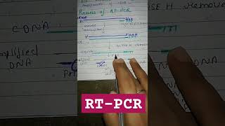 RTPCRreverse transcriptase PCR 😍molecular biology techniquebiotechnologyviralshorts [upl. by January36]