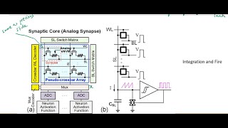 27B Neuromorphic Computing  Potentiation and Depression and Spiking Neural Network [upl. by Wrand509]