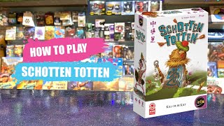 How to Play Schotten Totten  Board Game Rules amp Instructions [upl. by Arihat]