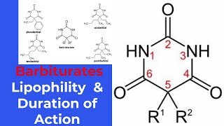 structureactivity relationship SAR of barbiturates [upl. by Gitel744]