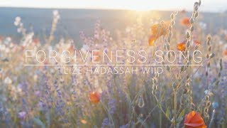 Forgiveness Song Lyric video  Lize Hadassah Wiid  Born For Such a Time [upl. by Eislel680]