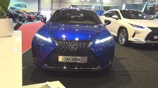 Lexus UX 250h 2020 Exterior and Interior [upl. by Eek57]