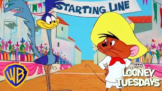 Looney Tuesdays  ​Road Runner Vs Speedy Gonzales  wbkids​ [upl. by Ennahgem810]