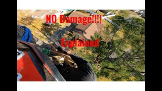 Tread Lightly Two Tree Removals Zero Yard Damage [upl. by Meesan886]