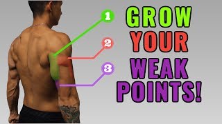 The Best ScienceBased Triceps Exercises for Each Head Work Your Weak Points [upl. by Yesmar444]