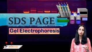 SDS PAGE I Polyacrylamide Gel Electrophoresis I Technique Complete Detail [upl. by Nedac]