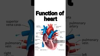 Whole work of heart for all organs  Function of heart  हृदय का कार्य  shorts  biology  facts [upl. by Dympha]