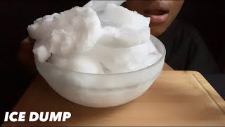 ICE DUMP  ASMR ICE EATING [upl. by Martin602]