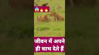 मुसीबत में अपनी ही साथ देते हैं love reels youtubeshort viralvideo viralreels india 😱🔥 [upl. by Aerdnek]