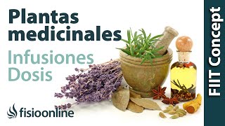 Tratamiento con plantas medicinales  Cómo hacer la infusión dosis y duración de un tratamiento [upl. by Asehr]