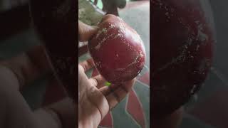 apple wax coating  waxcoating apple fruit skvlogs204 trendingshort [upl. by Maynord848]