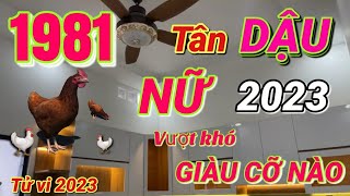 TỬ VI 2023 Tử vi tuổi TÂN DẬU 1981 NỮ MẠNG năm 2023  VƯỢT KHÓ GIÀU CỠ NÀO [upl. by Kriss]