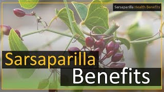 Sarsaparilla health benefits [upl. by Mell]