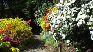 Trebah amp Glendurgan [upl. by Concoff]