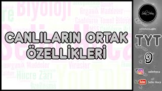 1 Canlıların Ortak Özellikleri [upl. by Daggett]