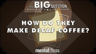 How Do They Make Decaf Coffee  Big Questions  Ep1 [upl. by Michaela905]