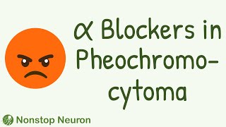 Use of Alpha Blockers in Pheochromocytoma [upl. by Annodam]