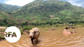 Lao Villagers Brace for Resettlement Amid Signs Of New Mekong Dam Project  Radio Free Asia RFA [upl. by Neelat243]