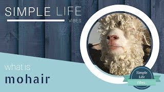 What is Mohair and How Do You Use Mohair [upl. by Aramen203]