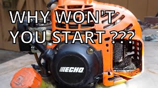 Echo SRM 225 Weed Trimmer Wont Start  Why [upl. by Ahearn]