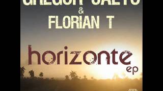 Gregor Salto and Florian T  Horizonte GS straight mix [upl. by Goulder]