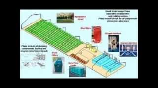 Aquaponics Systems [upl. by Ennaecarg]