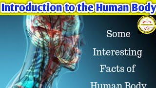 Introduction to the human body Cell Tissue Organs Systemscell biology [upl. by Tuchman]