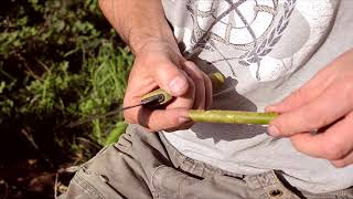 How to whittle carve a whistle in wood in under a minute Speed whittling [upl. by Sufur]