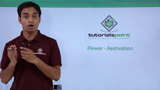 Class 11th – Flower – Aestivation  Morphology of Flowering Plants  Tutorials Point [upl. by Htomit770]