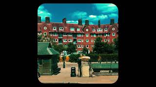 Hampstead Heath Videography Sequence  streetvideography naturephotography [upl. by Decato]