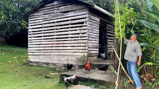 La vida del campo con JESÚS CRUZ República Dominicana [upl. by Enelrak610]